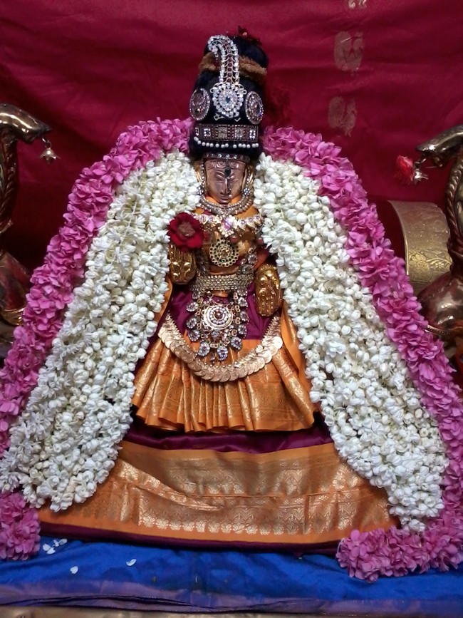 Thiruvelukkai Amirthavalli Thayar Adi Velli utsavam 2014 03