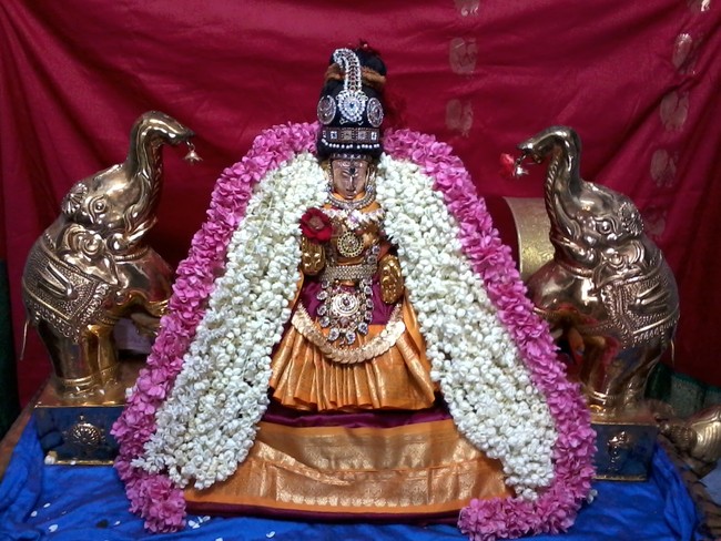 Thiruvelukkai Amirthavalli Thayar Adi Velli utsavam 2014 05