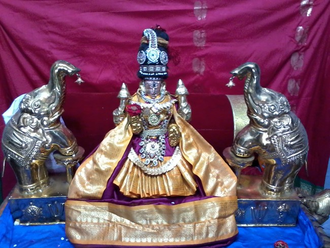 Thiruvelukkai Amirthavalli Thayar Adi Velli utsavam 2014 06