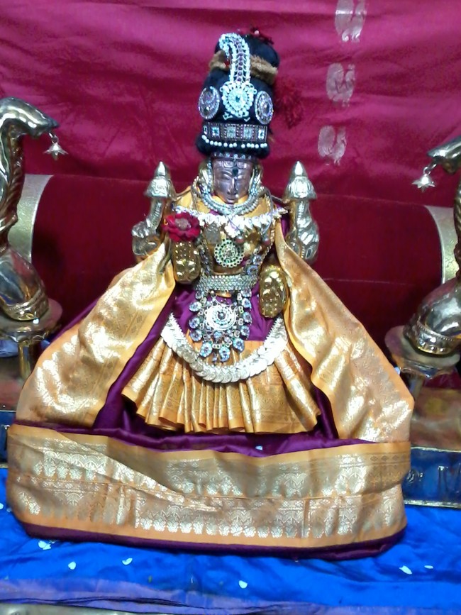 Thiruvelukkai Amirthavalli Thayar Adi Velli utsavam 2014 09