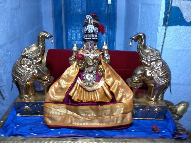 Thiruvelukkai Amirthavalli Thayar Adi Velli utsavam 2014 11