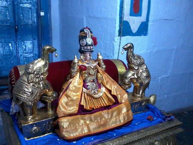 Thiruvelukkai Amirthavalli Thayar Adi Velli utsavam 2014 12
