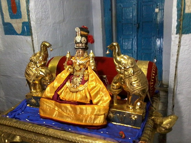 Thiruvelukkai Amirthavalli Thayar Adi Velli utsavam 2014 13
