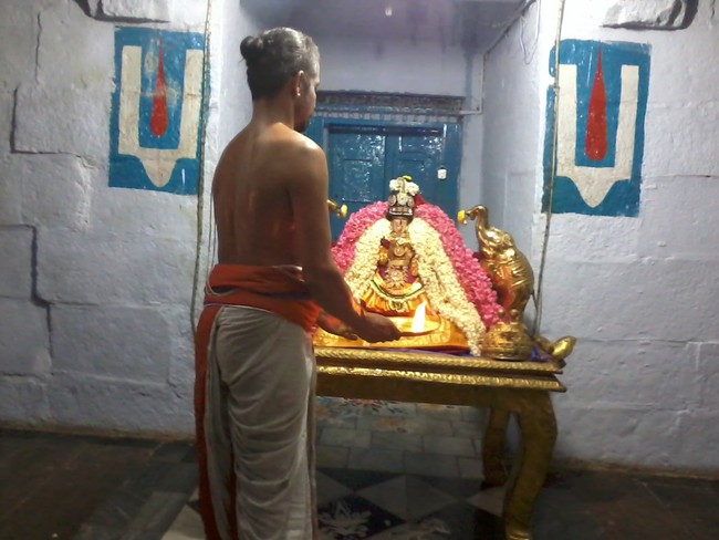 Thiruvelukkai Amirthavalli Thayar Adi Velli utsavam 2014 16