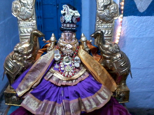 Thiruvelukkai Kadi Aadi Velli Thayar Purappadu 2014 01