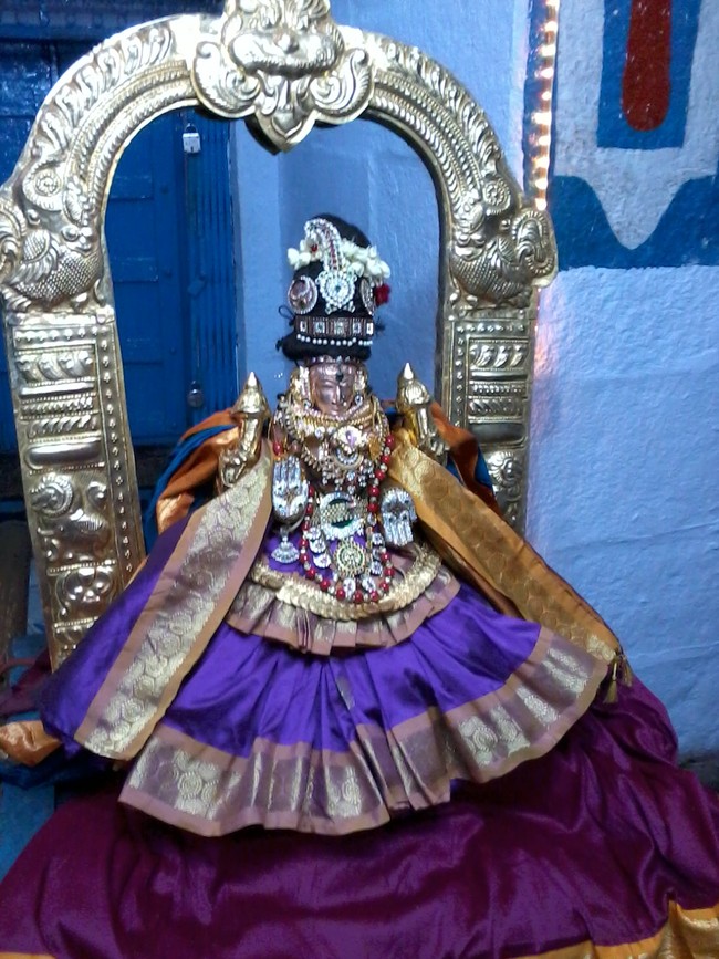 Thiruvelukkai Kadi Aadi Velli Thayar Purappadu 2014 02