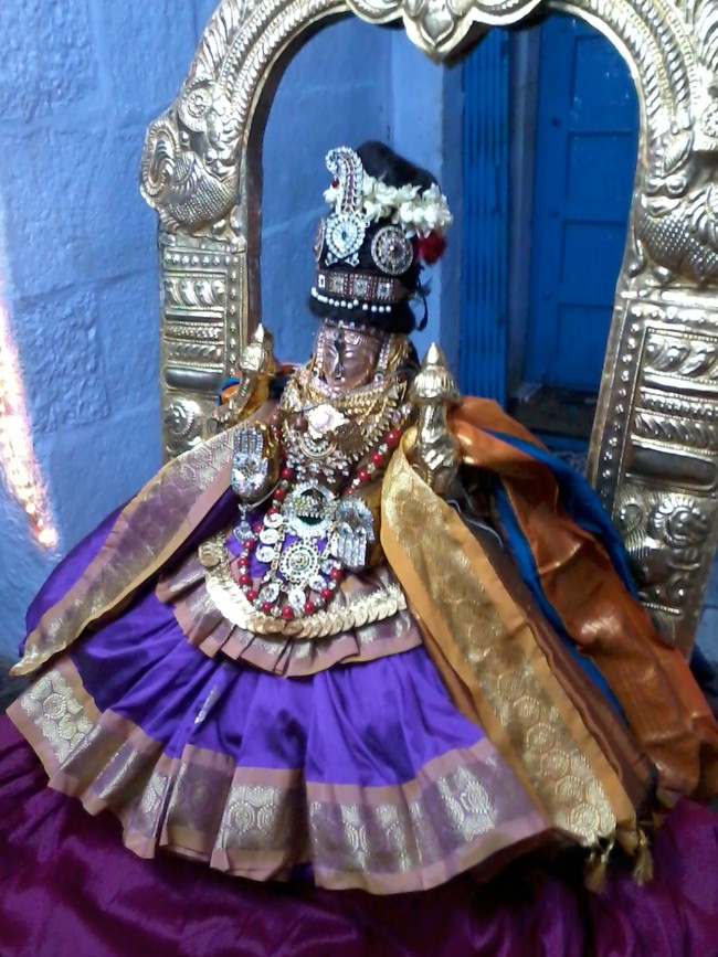 Thiruvelukkai Kadi Aadi Velli Thayar Purappadu 2014 03