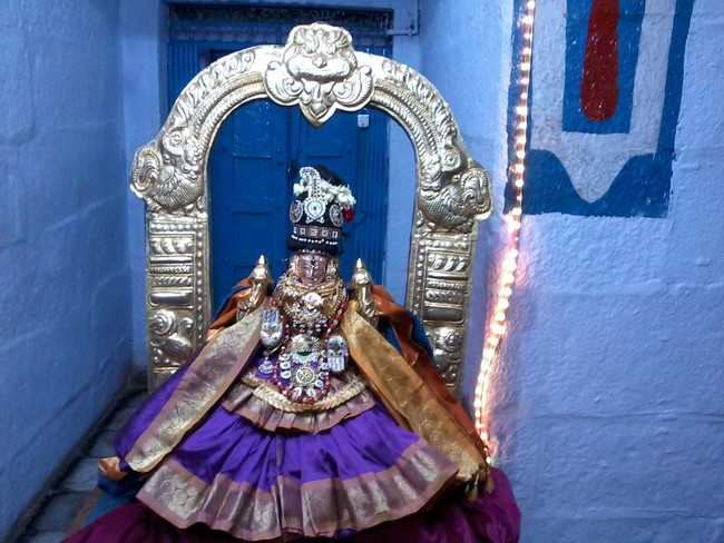 Thiruvelukkai Kadi Aadi Velli Thayar Purappadu 2014 04
