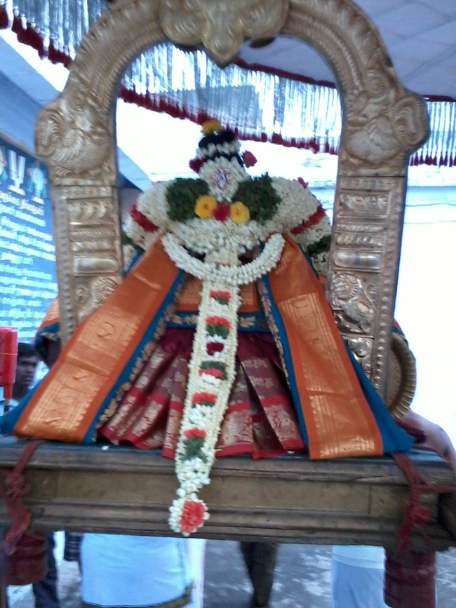 Thiruvelukkai Kadi Aadi Velli Thayar Purappadu 2014 05
