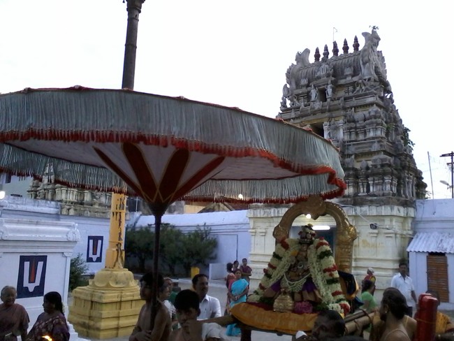 Thiruvelukkai Kadi Aadi Velli Thayar Purappadu 2014 09