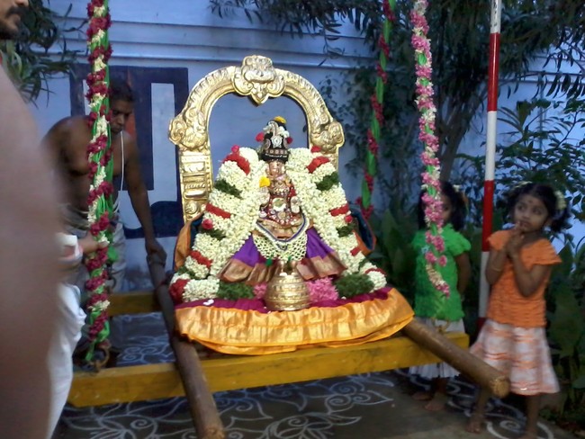 Thiruvelukkai Kadi Aadi Velli Thayar Purappadu 2014 10