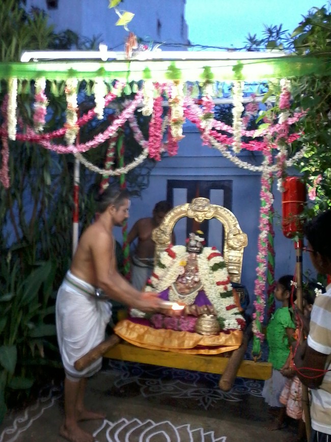 Thiruvelukkai Kadi Aadi Velli Thayar Purappadu 2014 11