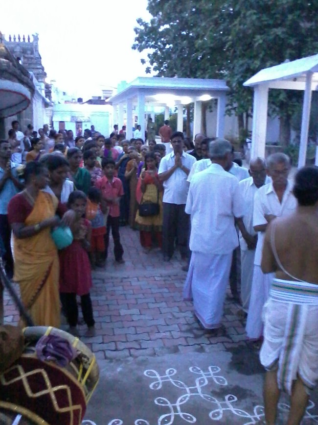 Thiruvelukkai Kadi Aadi Velli Thayar Purappadu 2014 12