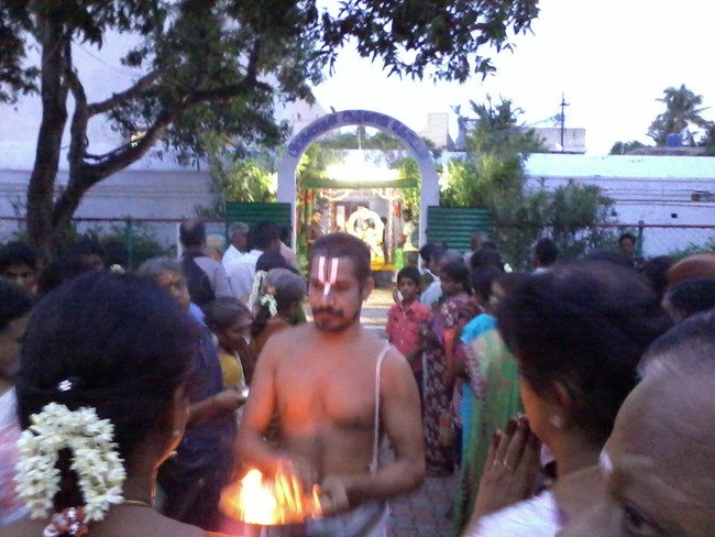 Thiruvelukkai Kadi Aadi Velli Thayar Purappadu 2014 13