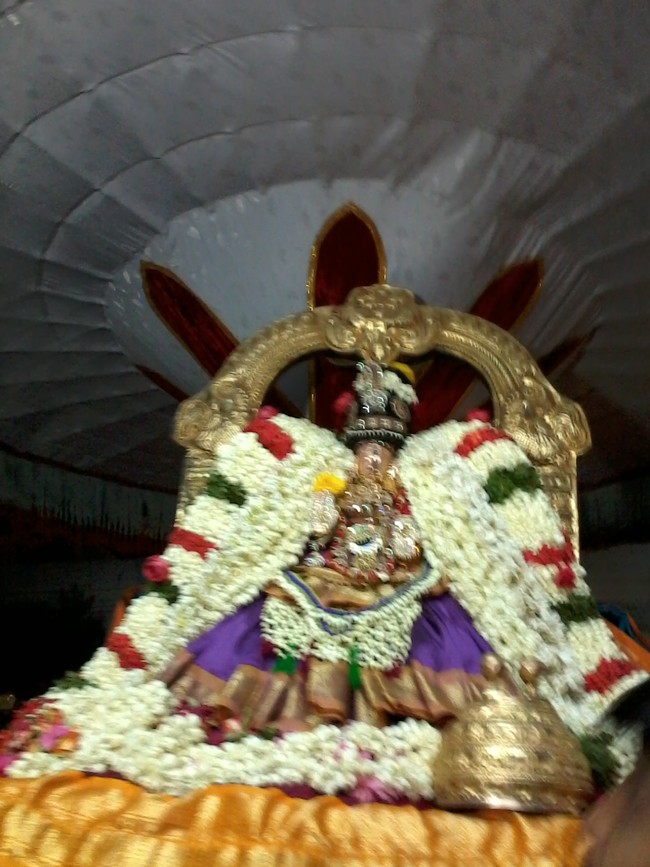 Thiruvelukkai Kadi Aadi Velli Thayar Purappadu 2014 15