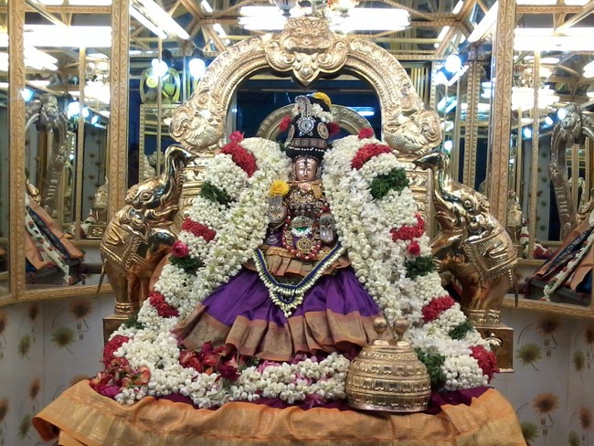 Thiruvelukkai Kadi Aadi Velli Thayar Purappadu 2014 17