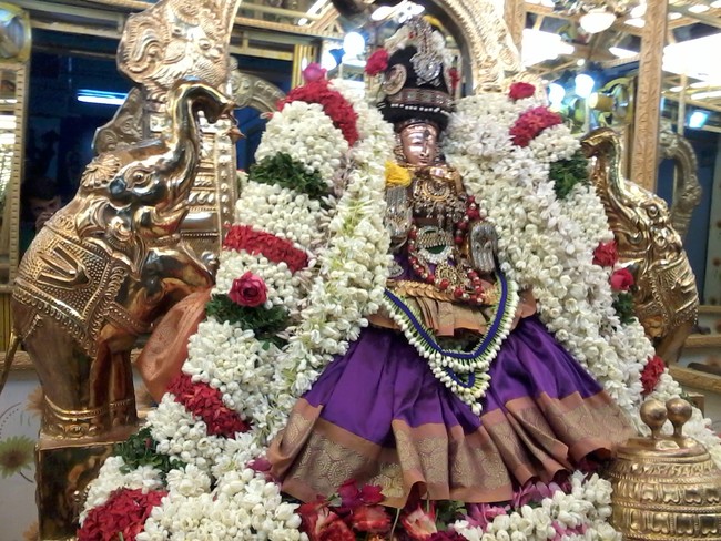 Thiruvelukkai Kadi Aadi Velli Thayar Purappadu 2014 18