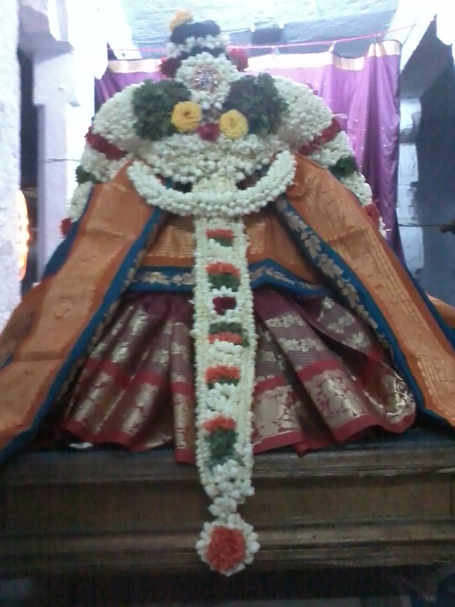 Thiruvelukkai Kadi Aadi Velli Thayar Purappadu 2014 20