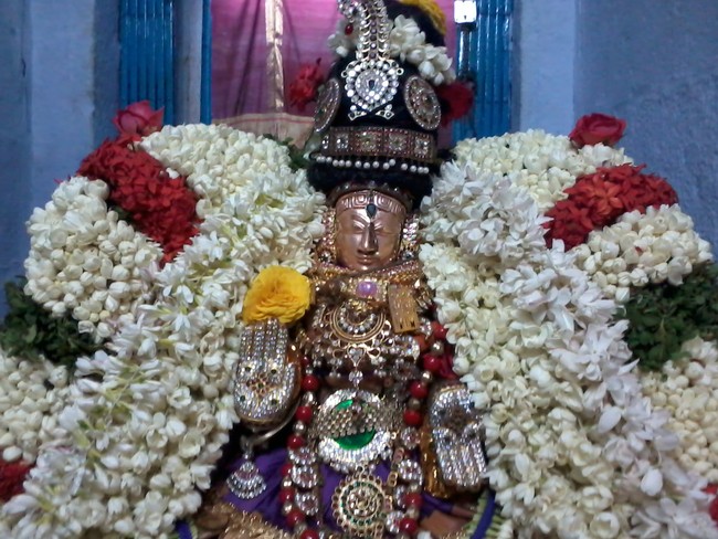 Thiruvelukkai Kadi Aadi Velli Thayar Purappadu 2014 21