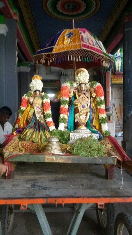 Thiruvinnagar Sri Oppilliappan Venkatachalapathi Temple Aavani Ammavasai Purappadu10