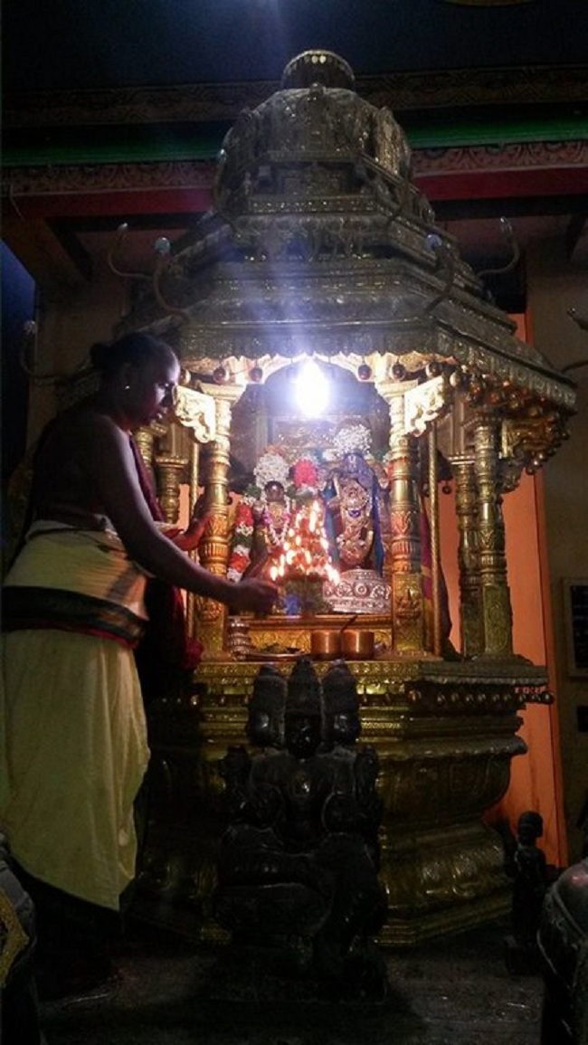 Thiruvinnagar Sri Oppilliappan Venkatachalapathi Temple Aavani Ammavasai Purappadu3