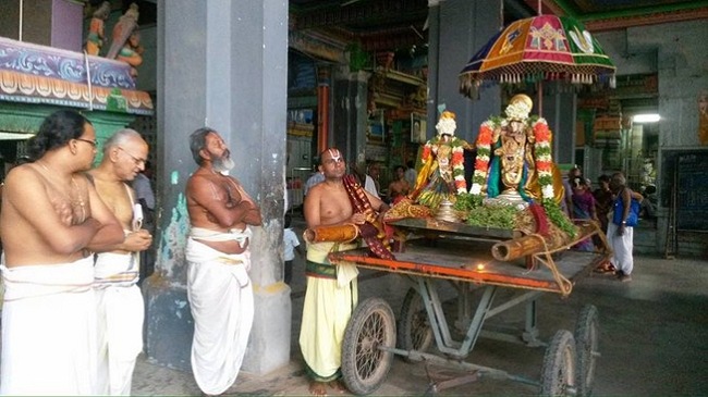 Thiruvinnagar Sri Oppilliappan Venkatachalapathi Temple Aavani Ammavasai Purappadu6