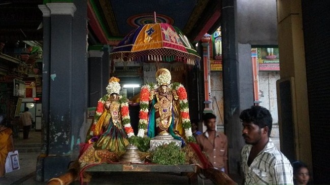 Thiruvinnagar Sri Oppilliappan Venkatachalapathi Temple Aavani Ammavasai Purappadu9