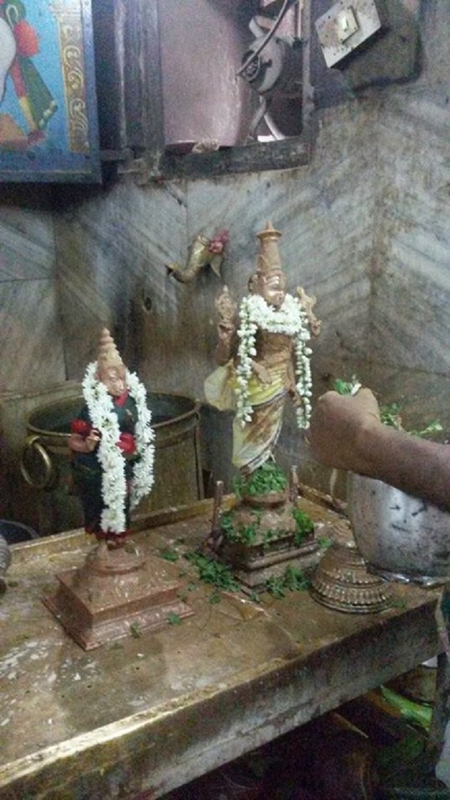 Thiruvinnagar Sri Oppilliappan Venkatachalapathi Temple Jyestabhishekam4