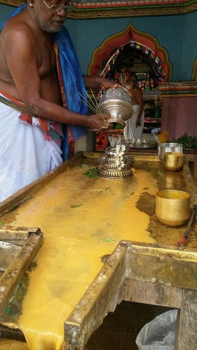 Thiruvinnagar Sri Oppilliappan Venkatachalapathi Temple Padinettam Perukku Theerthavari17