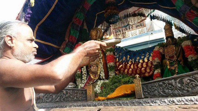 Thiruvinnagar Sri Oppilliappan Venkatachalapathi Temple Padinettam Perukku Theerthavari20