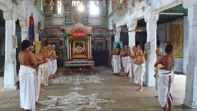 Thoopul Parakala Mutt Ramanuja Dayapatram Thanian utsavam day 1 2014 13