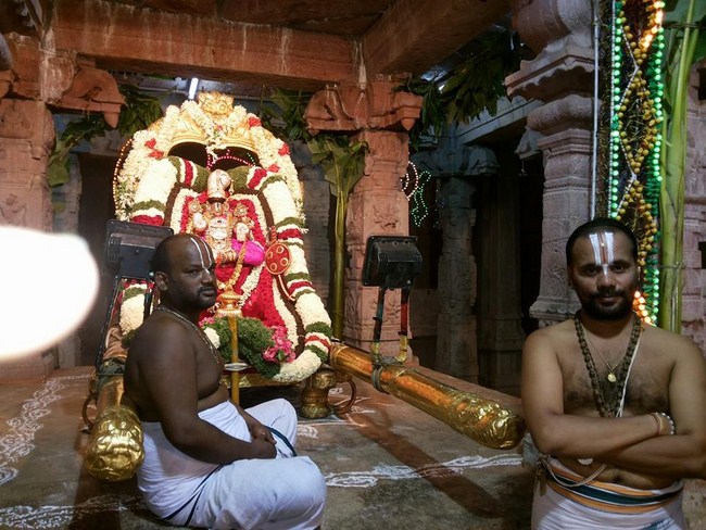 Tirumala Sri Malayappaswamy Temple Varshika ThiruPavithrothsavam Ankurarpanam13