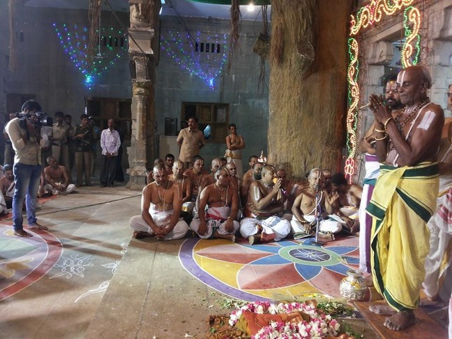 Tirumala Sri Malayappaswamy Temple Varshika ThiruPavithrothsavam Ankurarpanam7