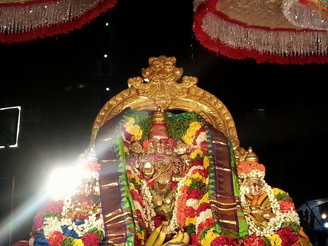 Tirupathi Sri Govindaraja Swamy Temple Aadi Swathi Purappadu 12