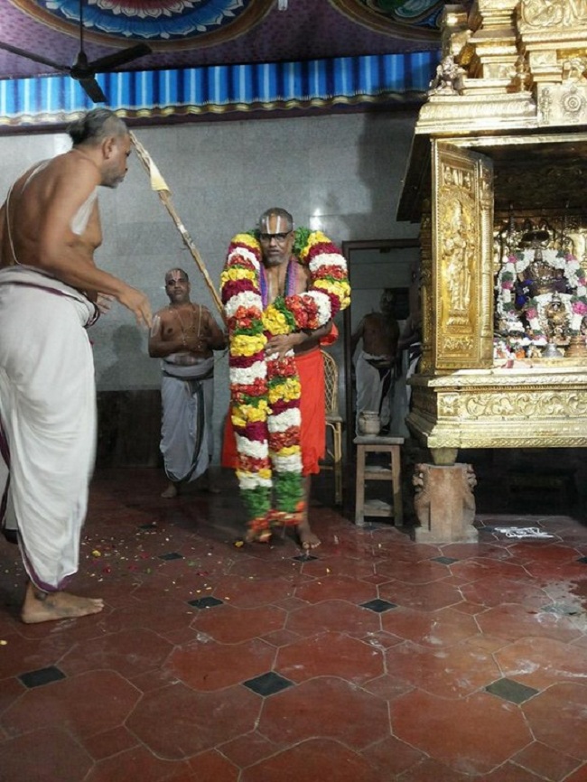 Tirupathi Sri Govindaraja Swamy Temple Aadi Swathi Purappadu 2