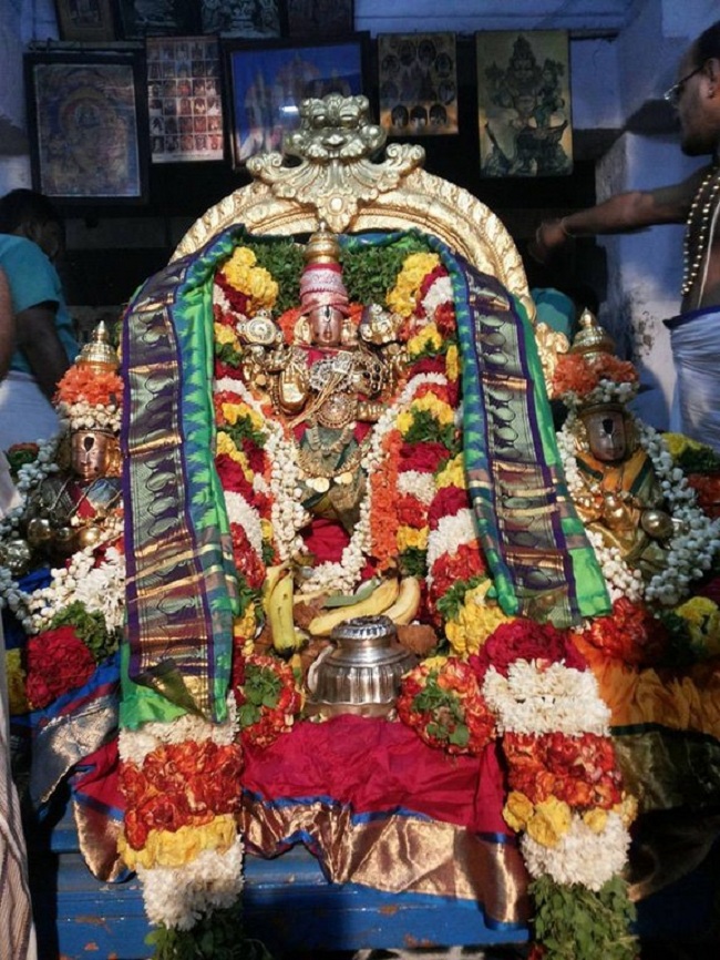 Tirupathi Sri Govindaraja Swamy Temple Aadi Swathi Purappadu 4