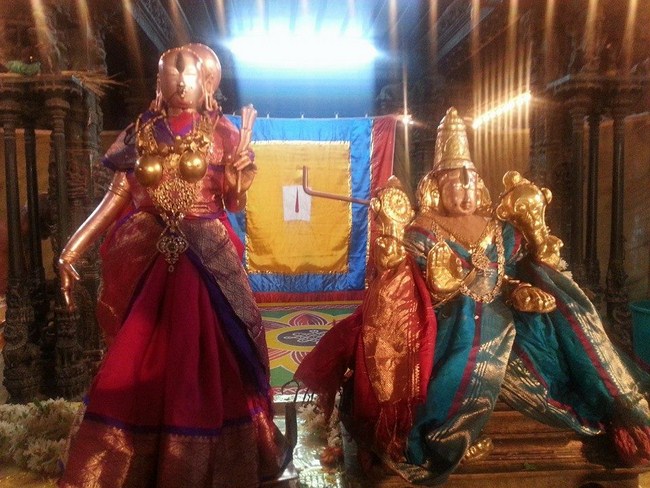 Tirupathi Sri Govindaraja Swamy Temple Thiruvadipooram Utsavam Concludes1
