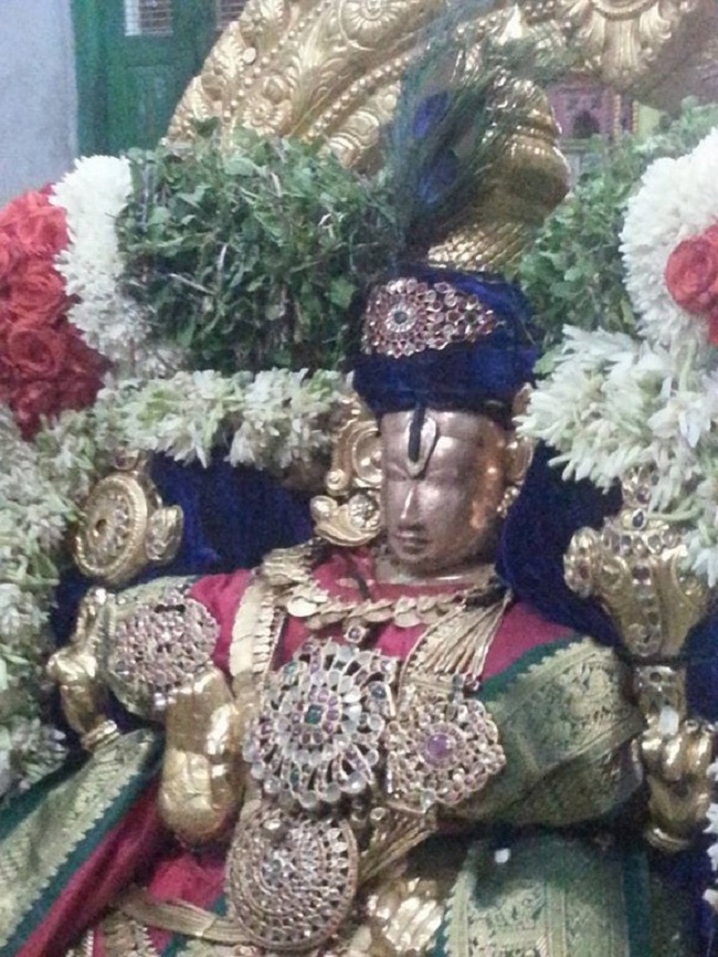Tirupathi Sri Govindaraja Swamy Temple Thiruvadipooram Utsavam Concludes16
