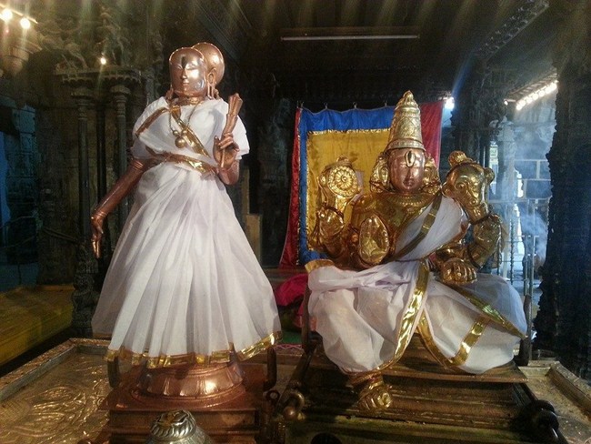 Tirupathi Sri Govindaraja Swamy Temple Thiruvadipooram Utsavam Concludes30