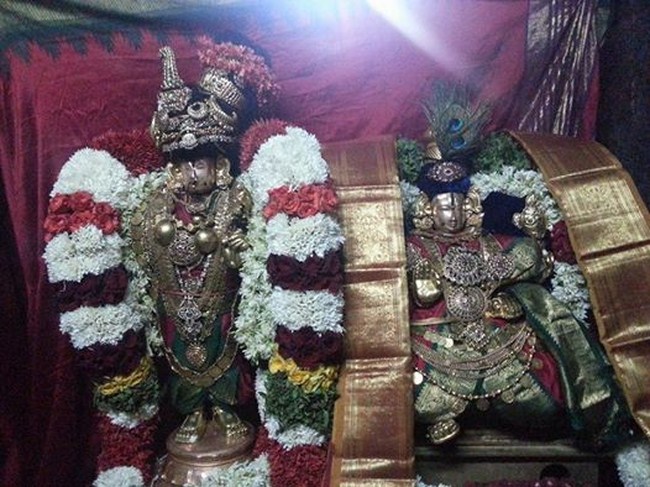 Tirupathi Sri Govindaraja Swamy Temple Thiruvadipooram Utsavam Concludes31