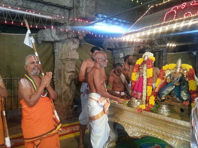 Tirupathi Sri Govindaraja Swamy Temple Thiruvadipooram Utsavam Concludes32