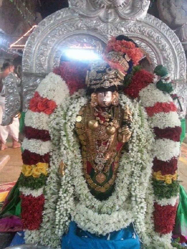 Tirupathi Sri Govindaraja Swamy Temple Thiruvadipooram Utsavam Concludes39
