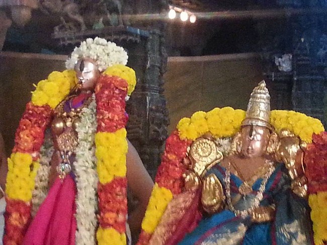 Tirupathi Sri Govindaraja Swamy Temple Thiruvadipooram Utsavam Concludes40