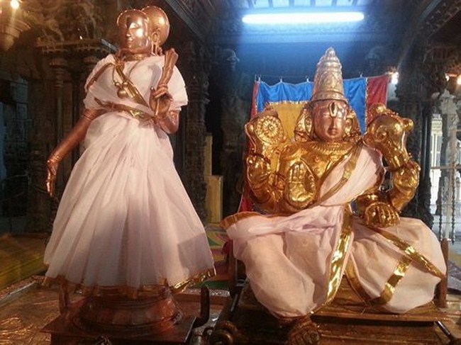 Tirupathi Sri Govindaraja Swamy Temple Thiruvadipooram Utsavam Concludes46