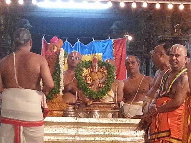 Tirupathi Sri Govindaraja Swamy Temple Thiruvadipooram Utsavam Concludes49