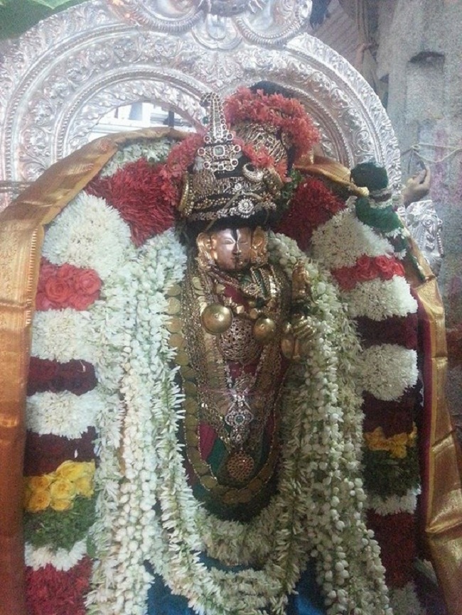 Tirupathi Sri Govindaraja Swamy Temple Thiruvadipooram Utsavam Concludes6