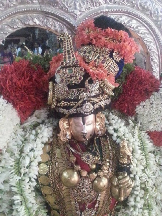 Tirupathi Sri Govindaraja Swamy Temple Thiruvadipooram Utsavam Concludes9
