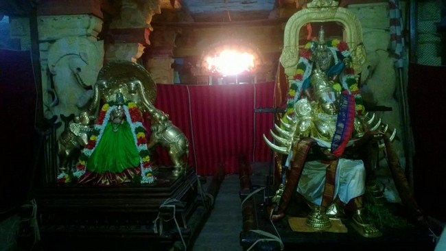 Vanamamalai Sri Deivanayaga Perumal Temple Aadi Swathi Purappadu3