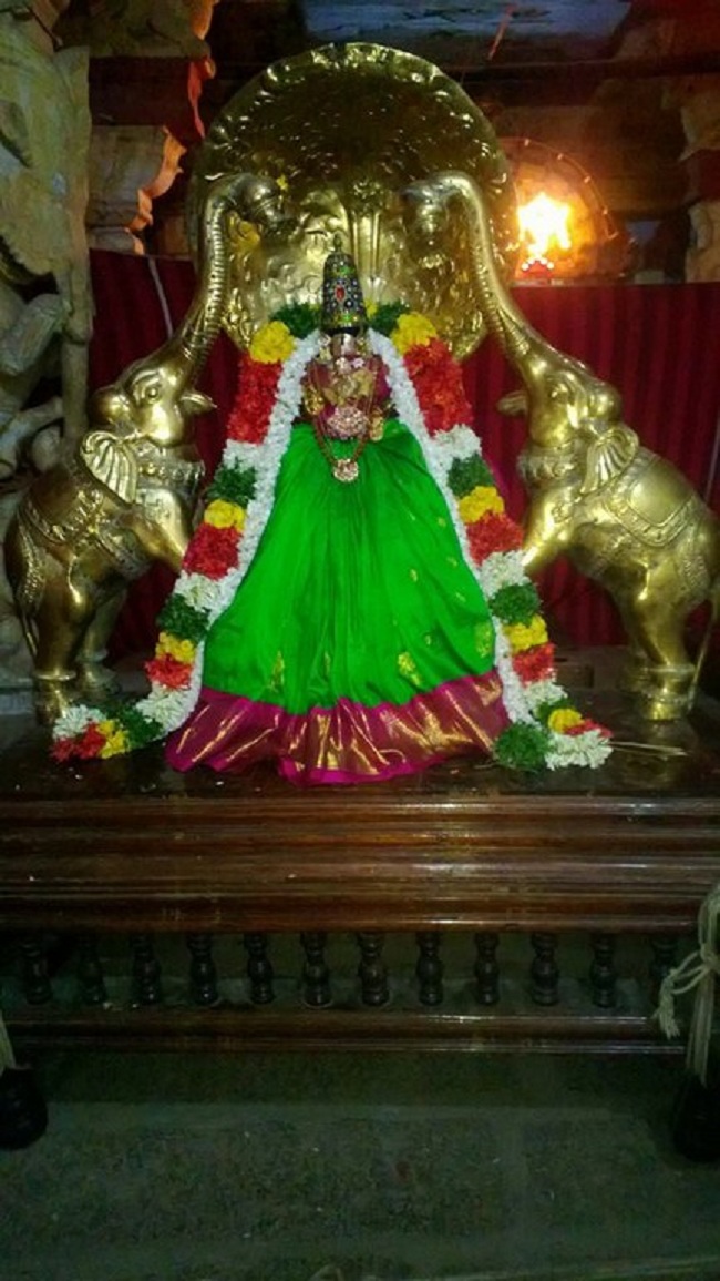 Vanamamalai Sri Deivanayaga Perumal Temple Aadi Swathi Purappadu4