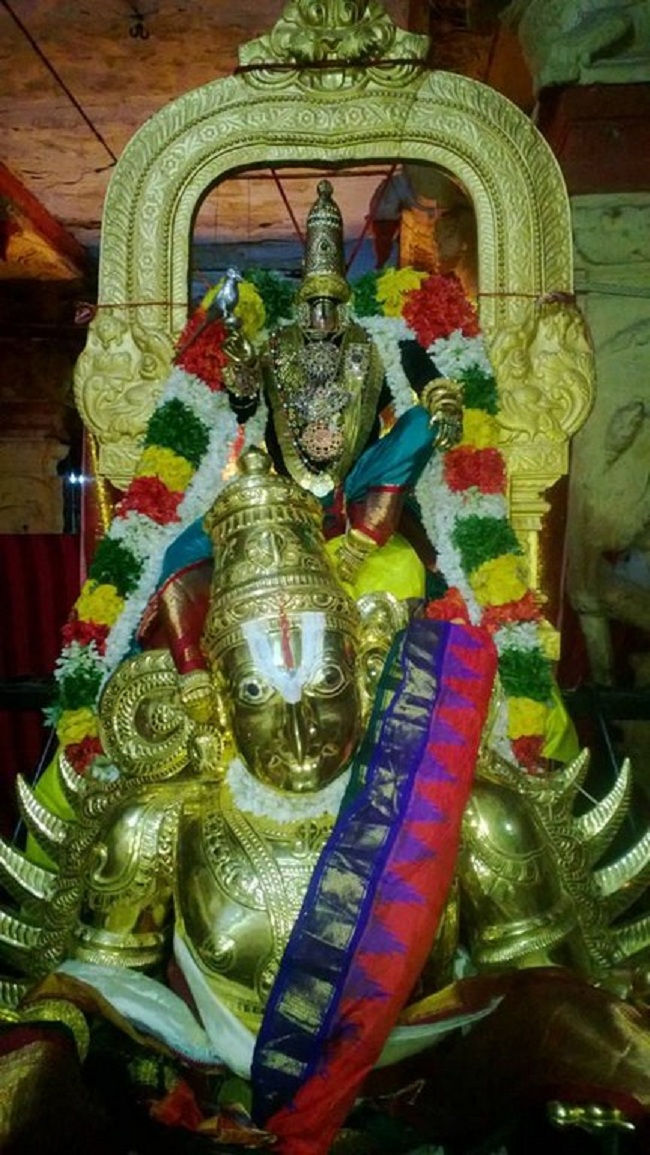Vanamamalai Sri Deivanayaga Perumal Temple Aadi Swathi Purappadu5